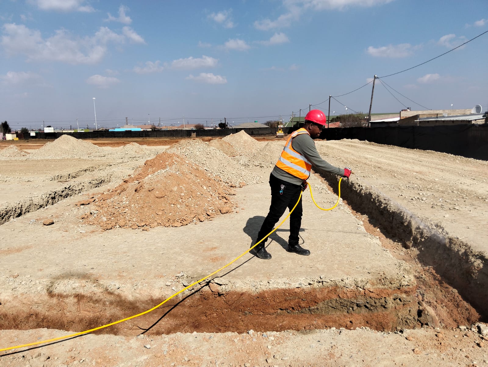 Termite nest removal